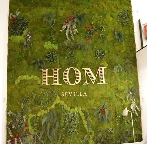 Hom Apartment Seville